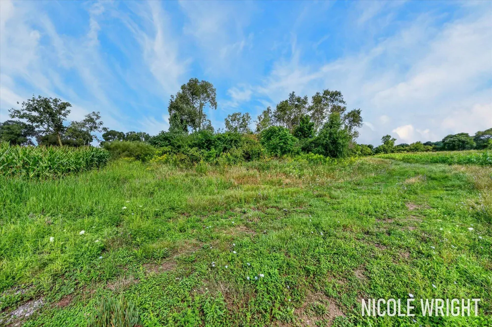 V/L 116th Avenue Otsego, MI 49078