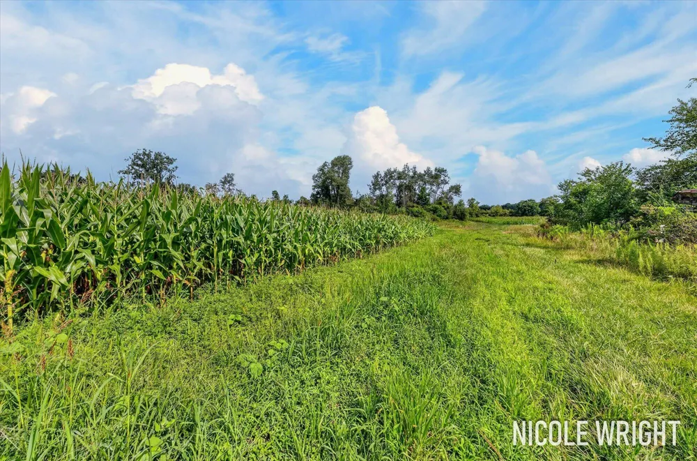 V/L 116th Avenue Otsego, MI 49078
