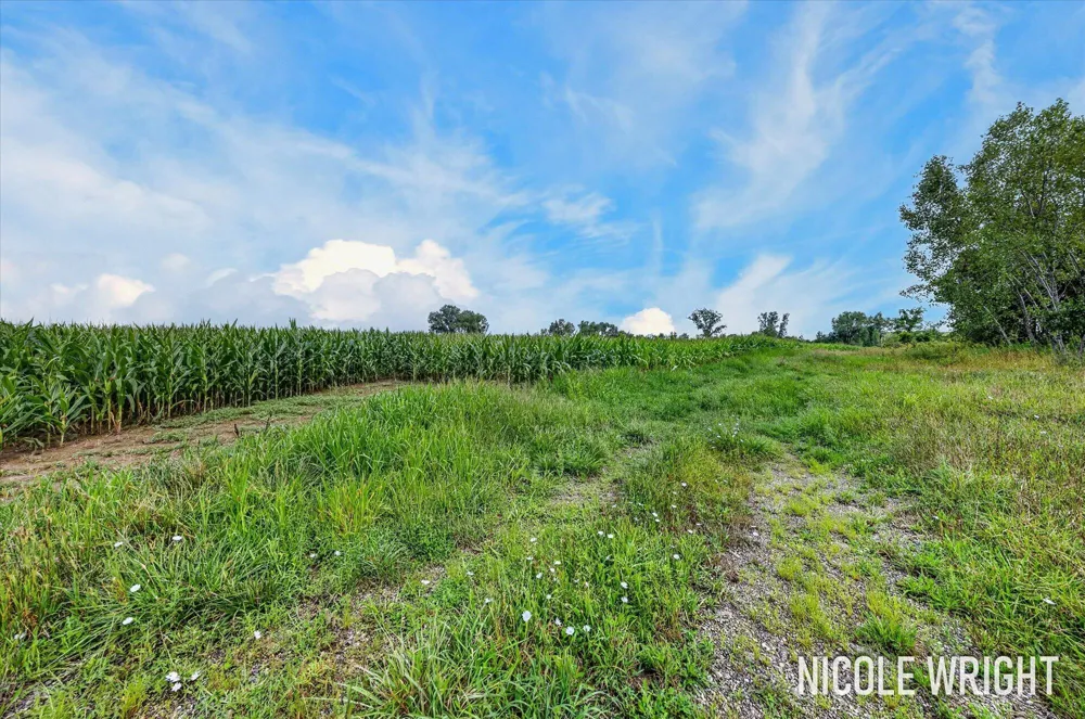 V/L 116th Avenue Otsego, MI 49078