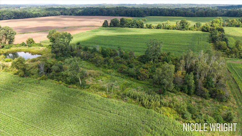V/L 116th Avenue Otsego, MI 49078