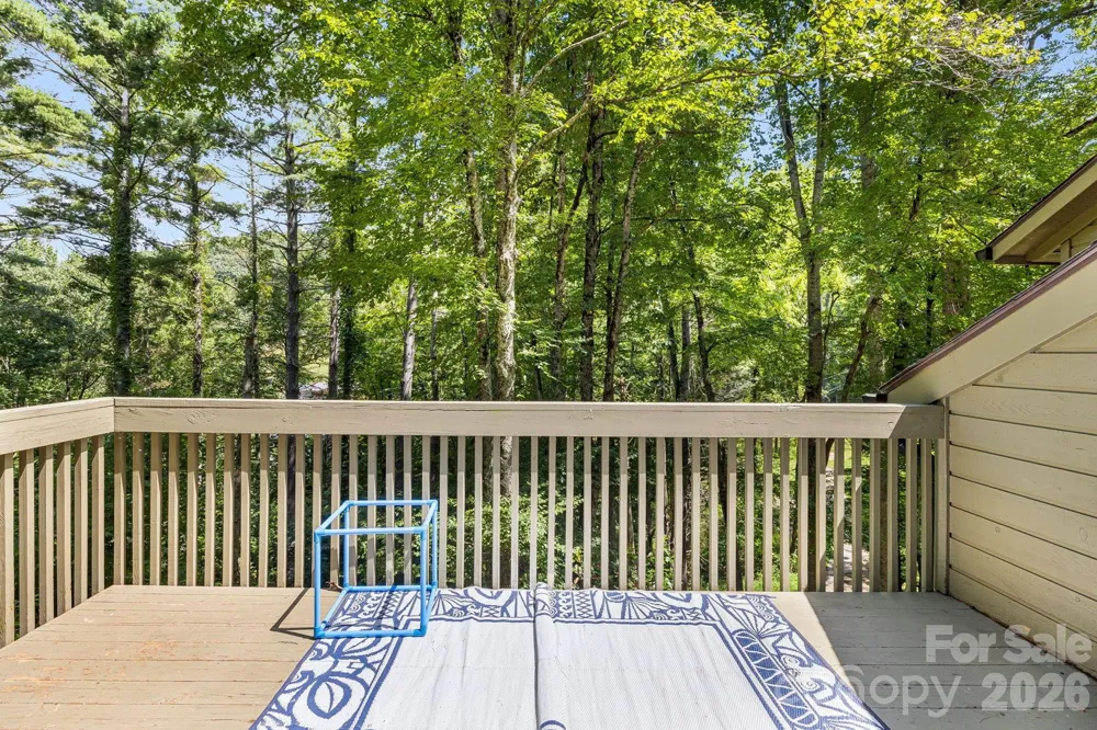 64 Big Spruce Lane Waynesville, NC 28786