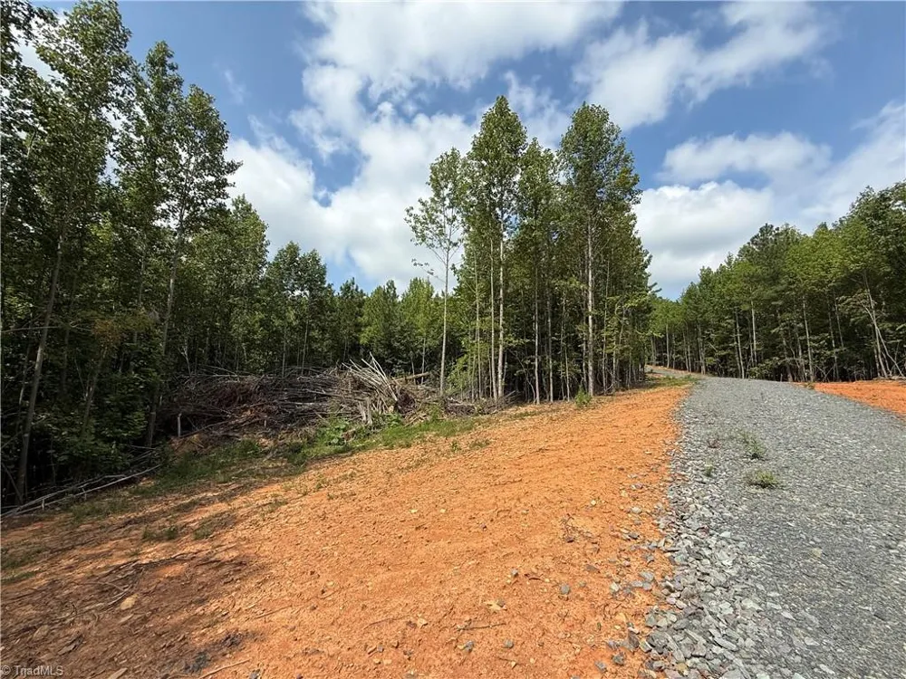 00 Woodfield Drive Sophia, NC 27350