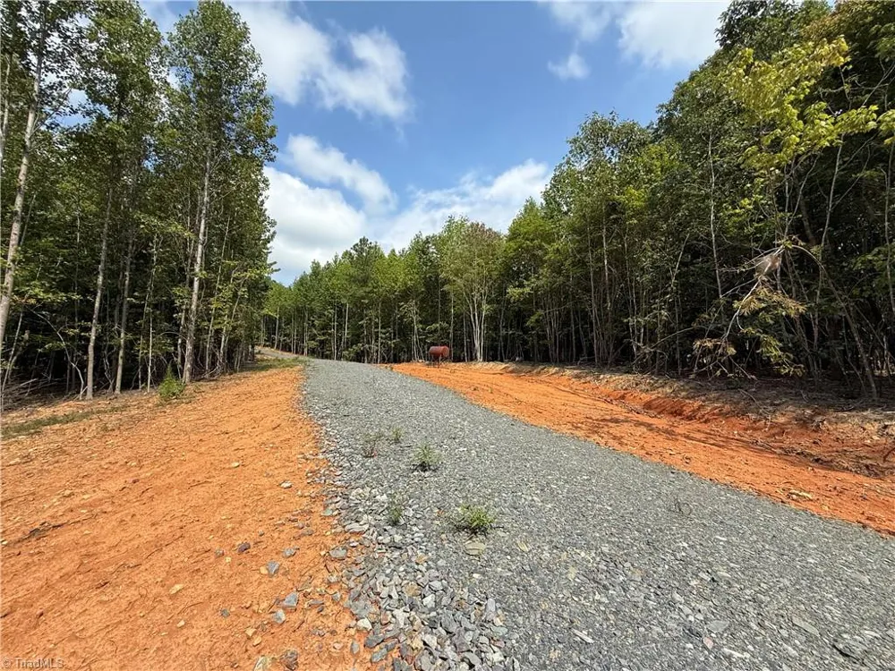 00 Woodfield Drive Sophia, NC 27350