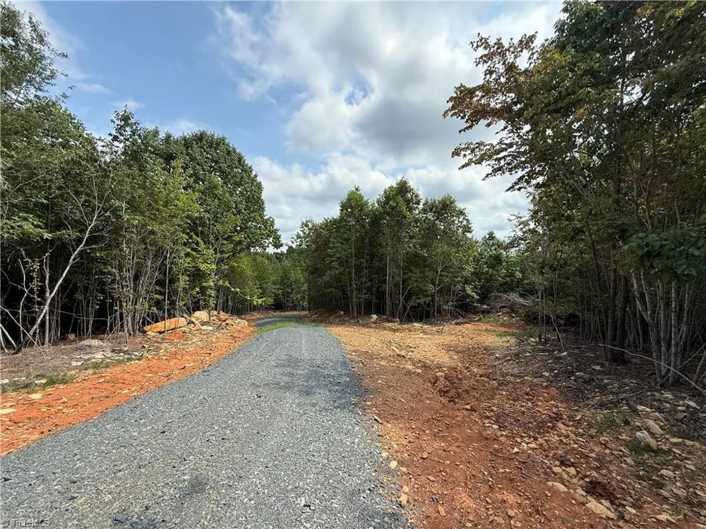 00 Woodfield Drive Sophia, NC 27350