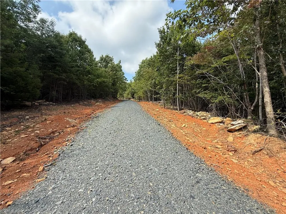 00 Woodfield Drive Sophia, NC 27350