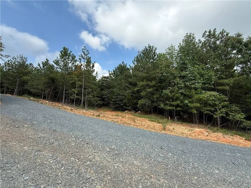 00 Woodfield Drive Sophia, NC 27350