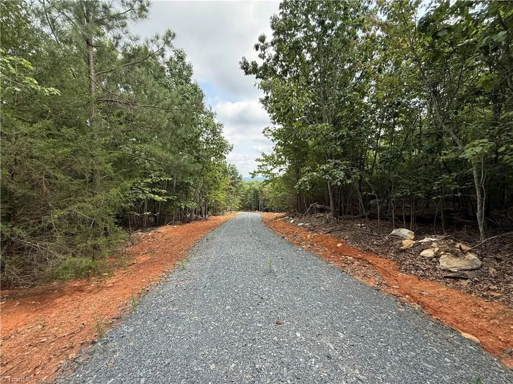 00 Woodfield Drive Sophia, NC 27350