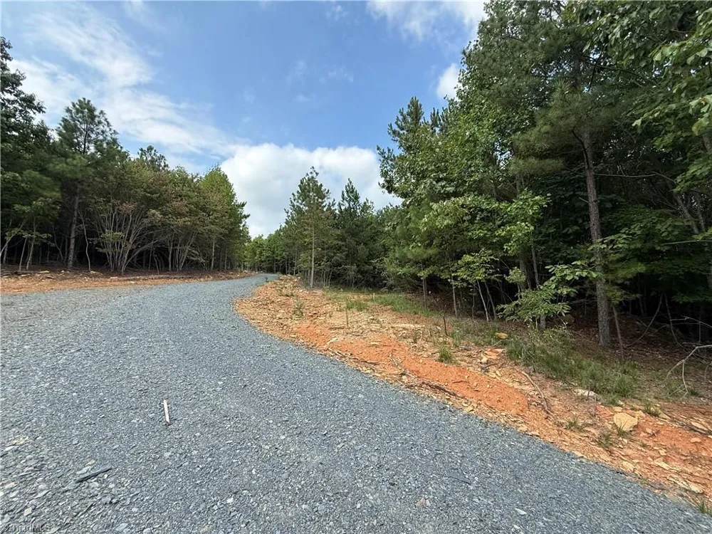00 Woodfield Drive Sophia, NC 27350