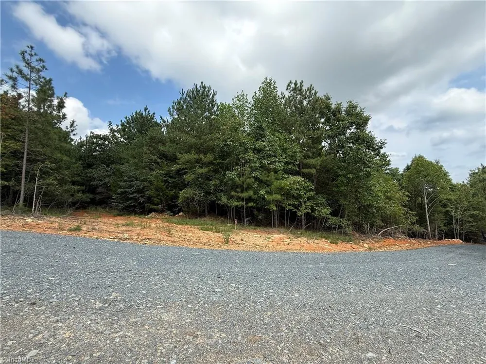 00 Woodfield Drive Sophia, NC 27350