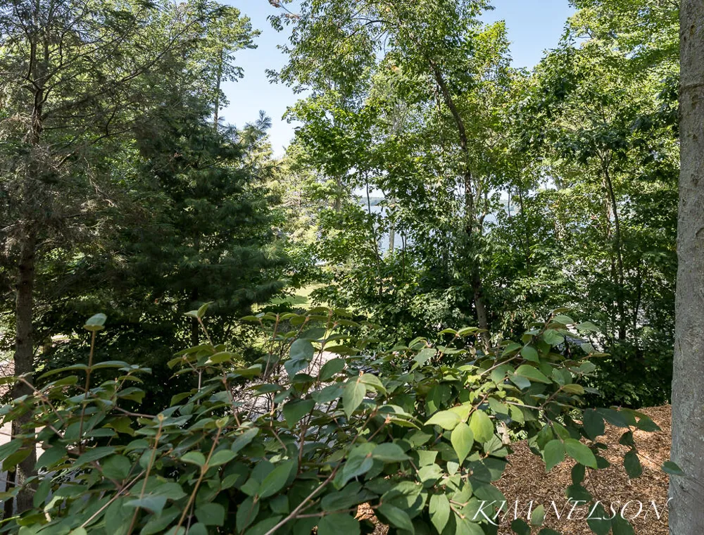 5170 South Shore Drive Fruitland Township, MI 49461