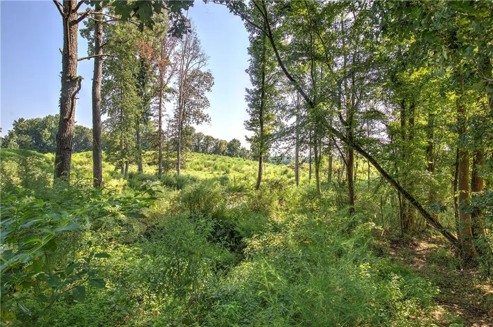 000 Pearl Johnson Road Ranger, GA 30734