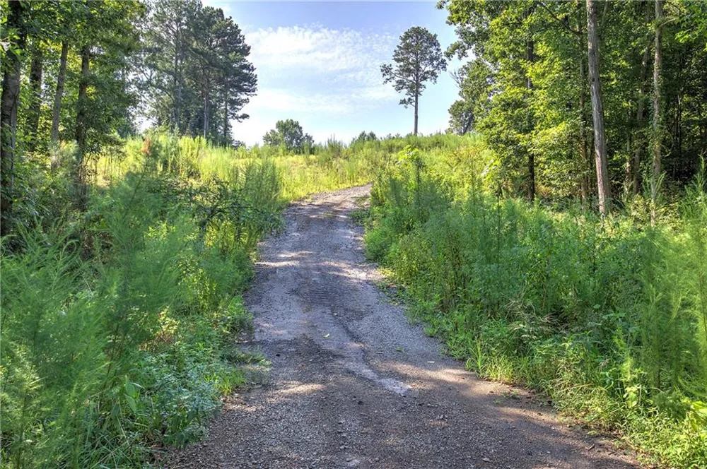 000 Pearl Johnson Road Ranger, GA 30734