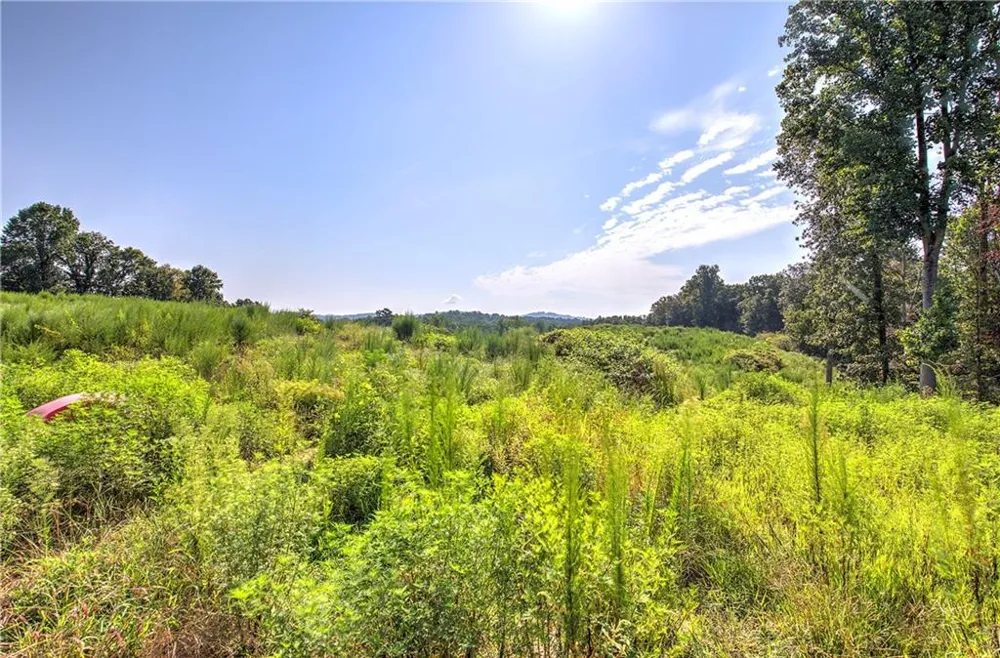 000 Pearl Johnson Road Ranger, GA 30734