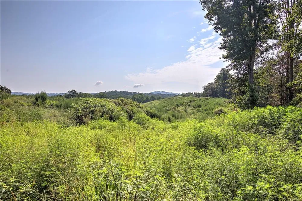 000 Pearl Johnson Road Ranger, GA 30734