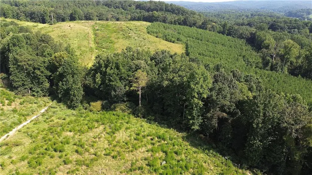 000 Pearl Johnson Road Ranger, GA 30734