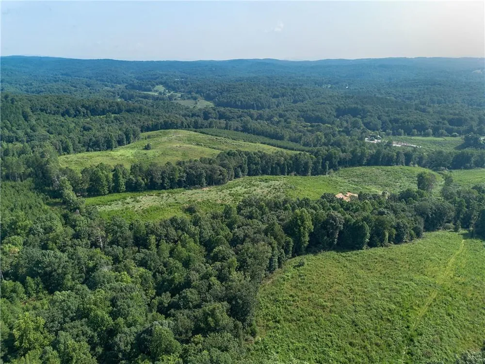 000 Pearl Johnson Road Ranger, GA 30734