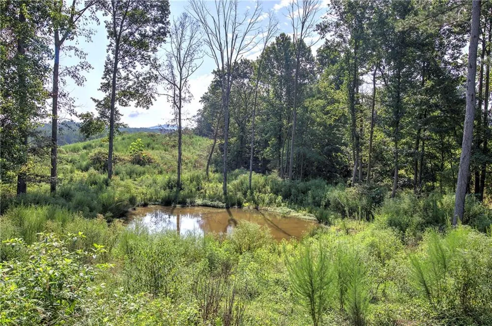 000 Pearl Johnson Road Ranger, GA 30734