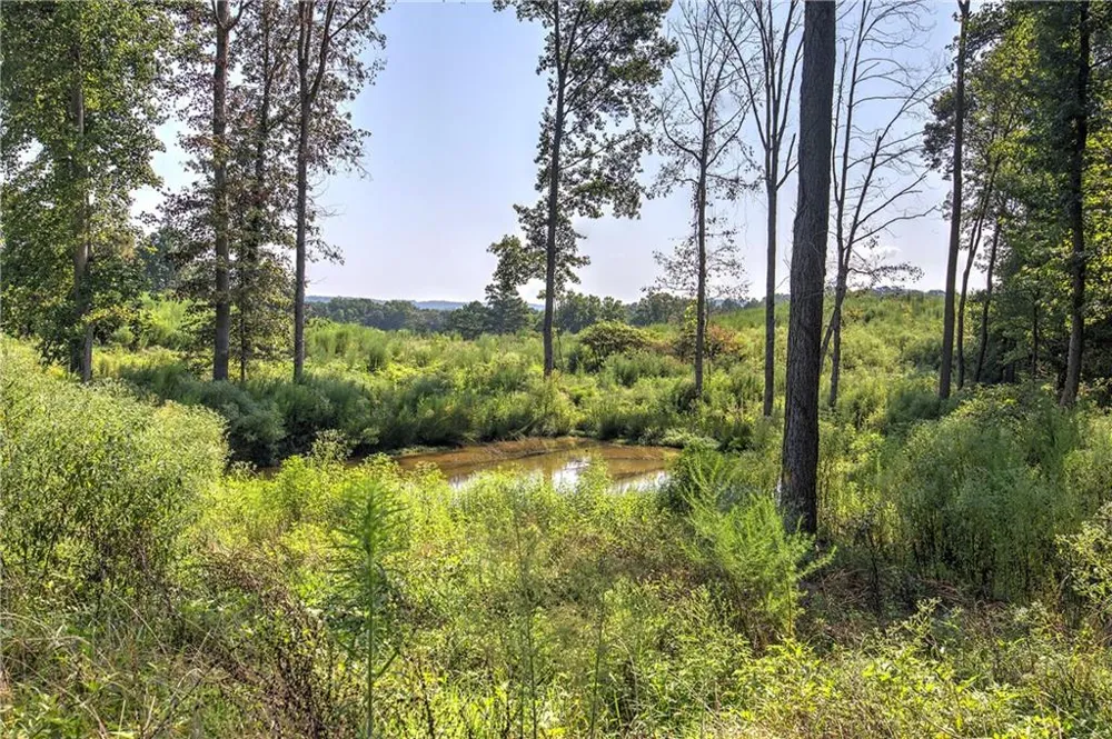 000 Pearl Johnson Road Ranger, GA 30734