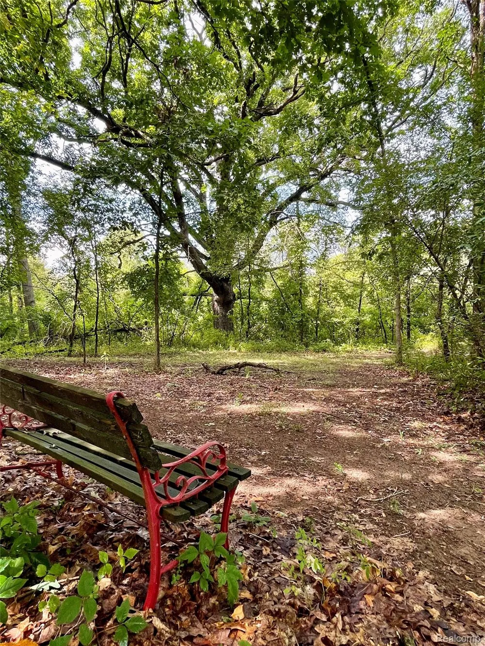 7330 W Gates Street Bruce Township, MI 48065