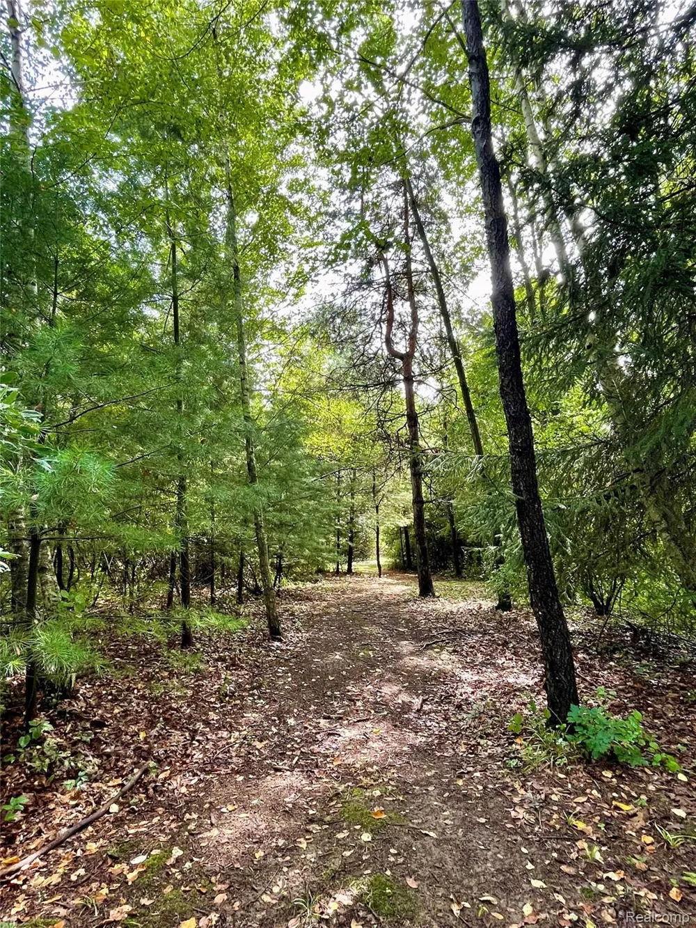 7330 W Gates Street Bruce Township, MI 48065