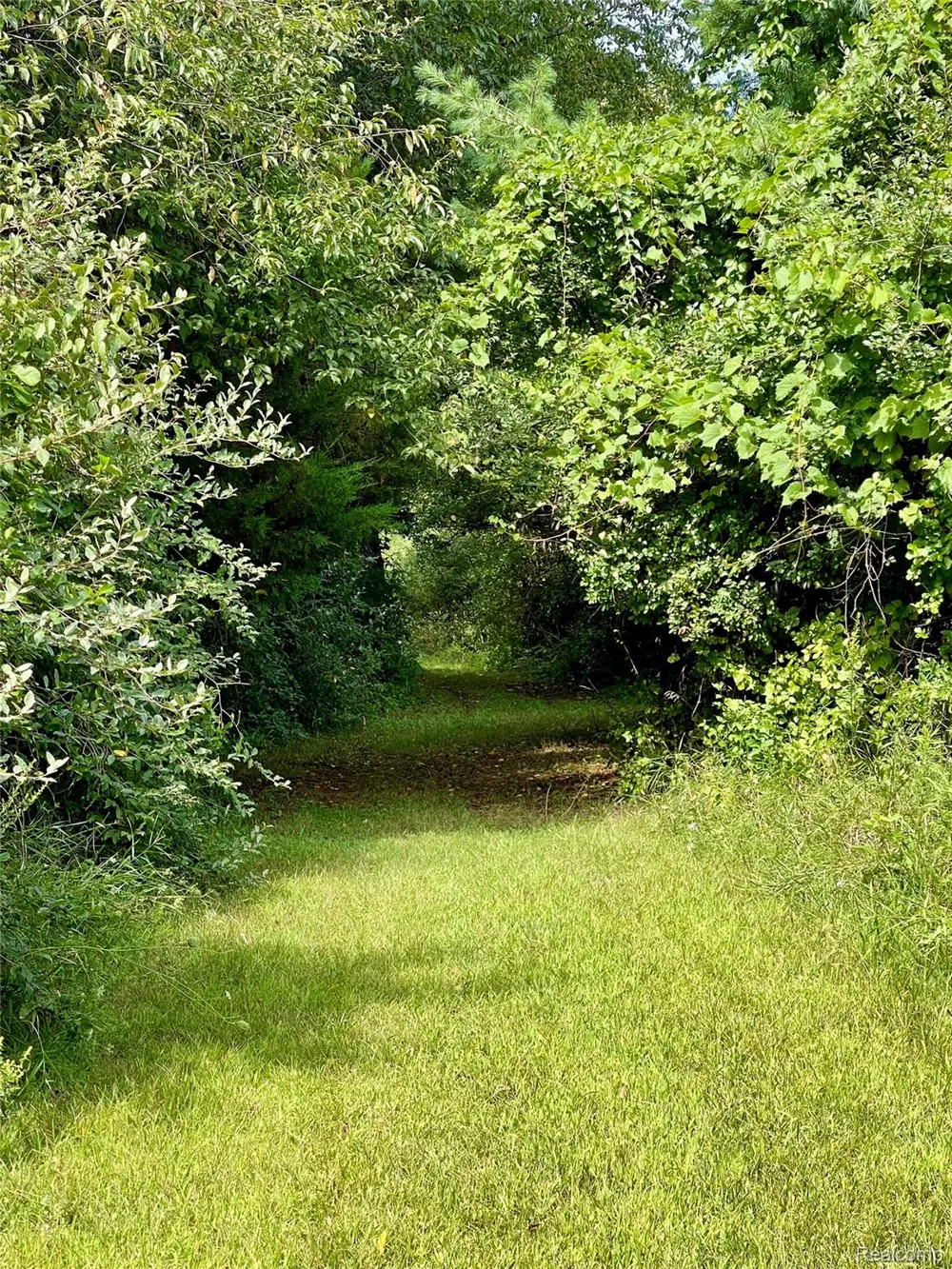 7330 W Gates Street Bruce Township, MI 48065