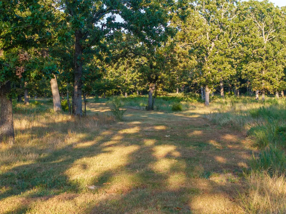 2 4450 ROAD Locust Grove, OK 74352