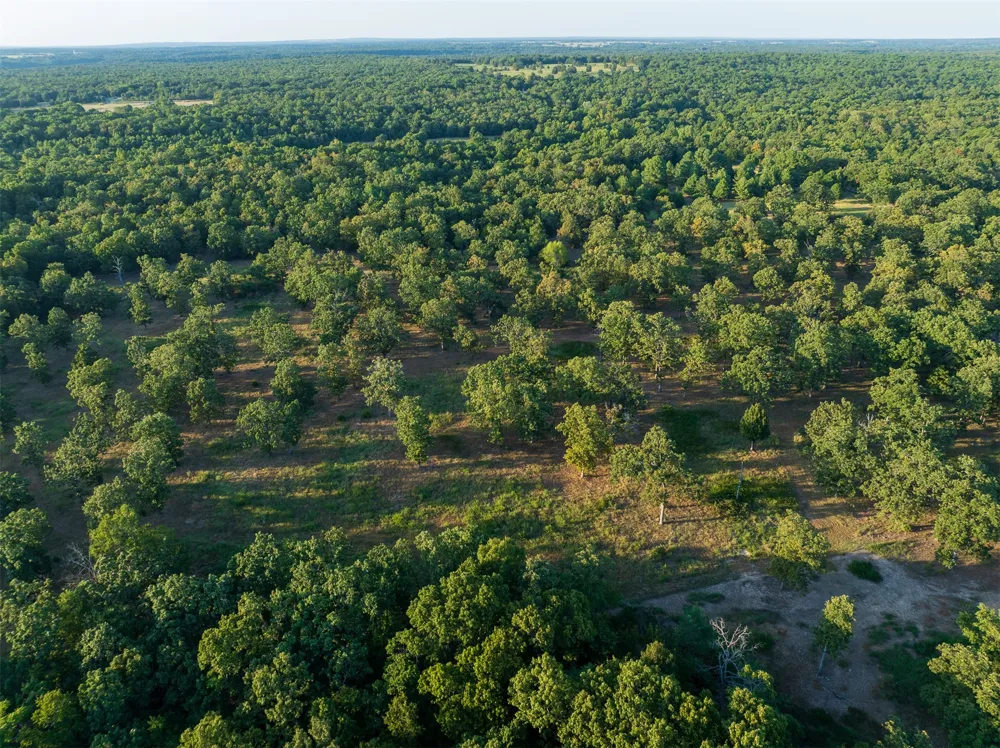 2 4450 ROAD Locust Grove, OK 74352