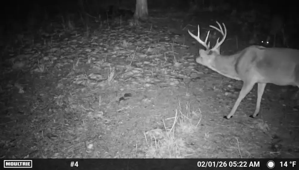 2 4450 ROAD Locust Grove, OK 74352