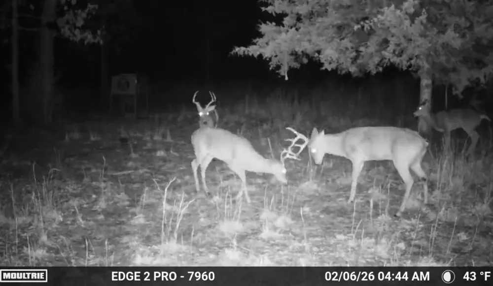2 4450 ROAD Locust Grove, OK 74352