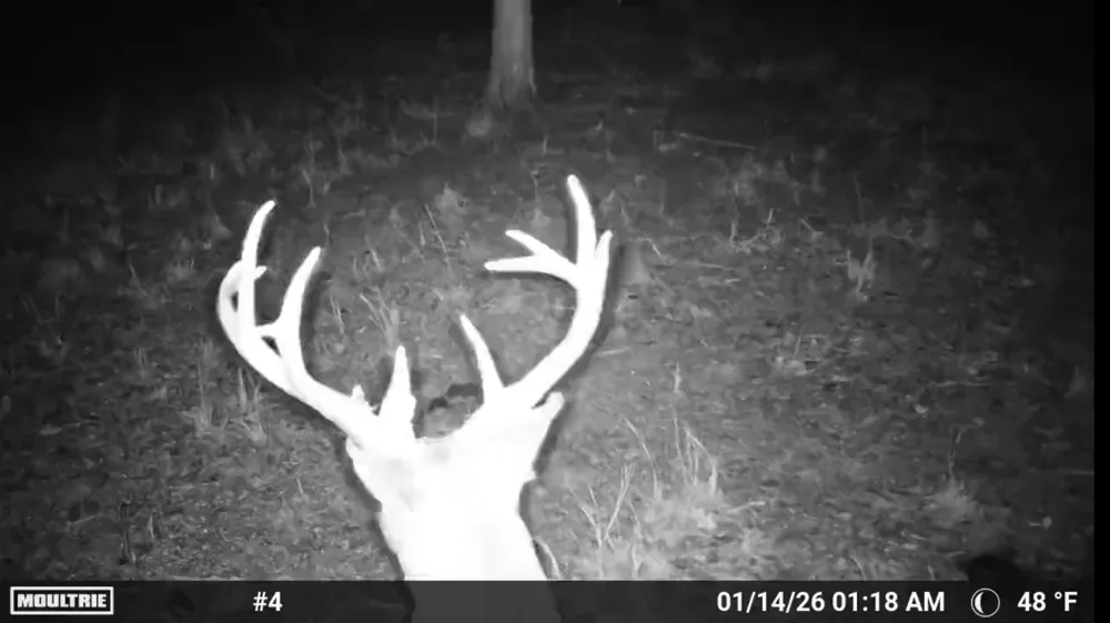 2 4450 ROAD Locust Grove, OK 74352