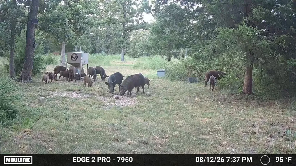 2 4450 ROAD Locust Grove, OK 74352