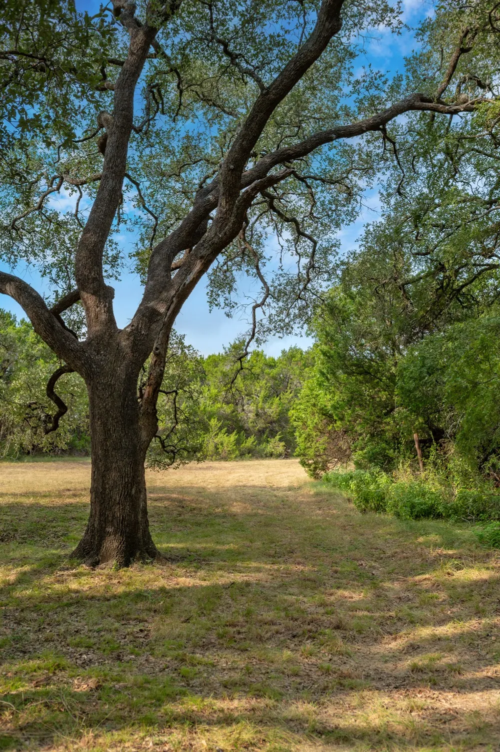 5021 Little Valley Road Leander, TX 78641
