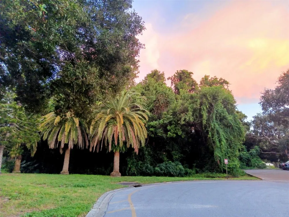 2256 SPANISH DRIVE #42 Clearwater, FL 33763