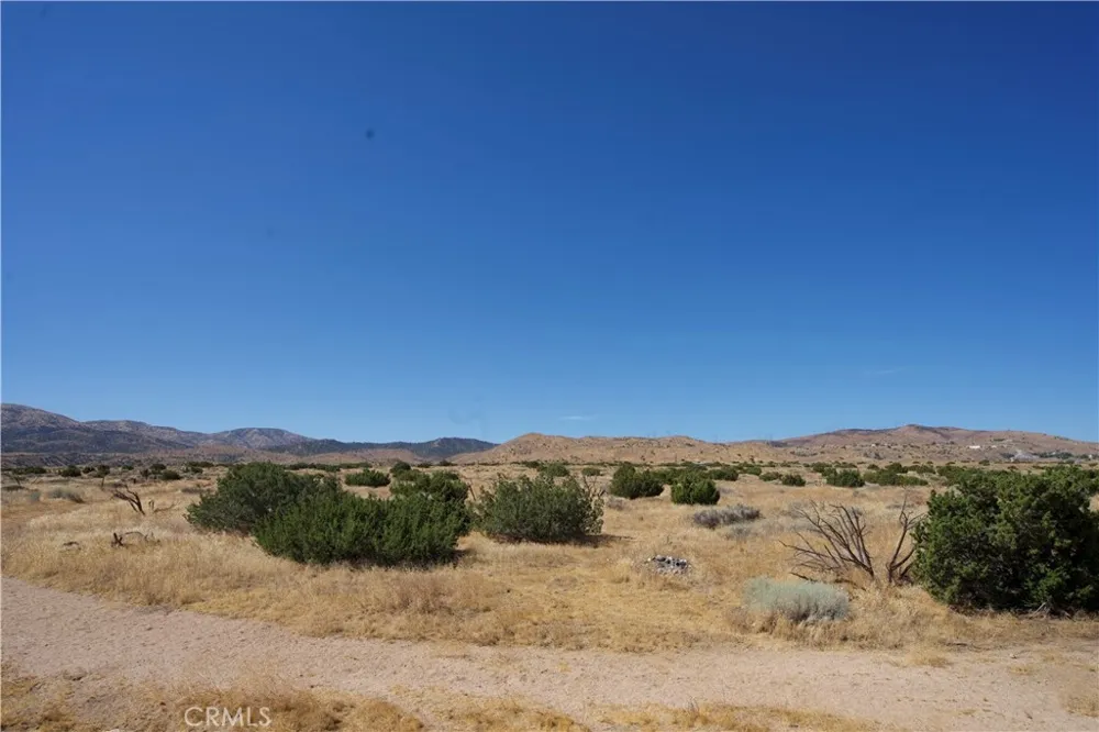 Vic Ave V Barrel SPGS Palmdale, CA 93550