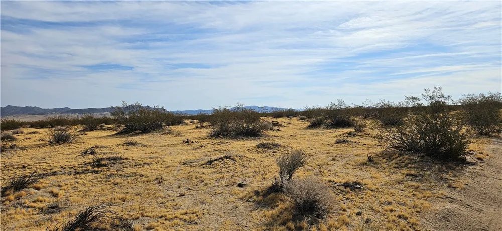 800 Datura Terrace Near Lucerne Valley, CA 92356
