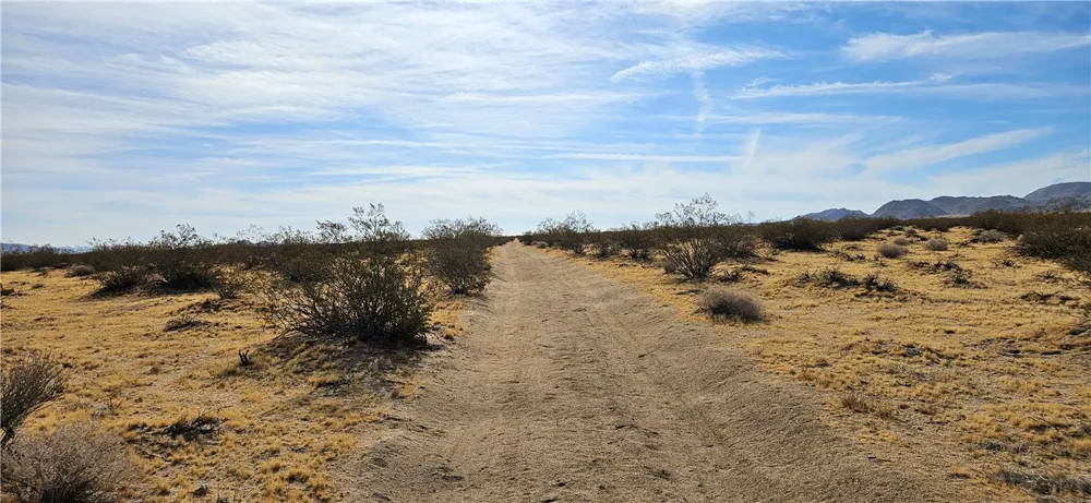 800 Datura Terrace Near Lucerne Valley, CA 92356