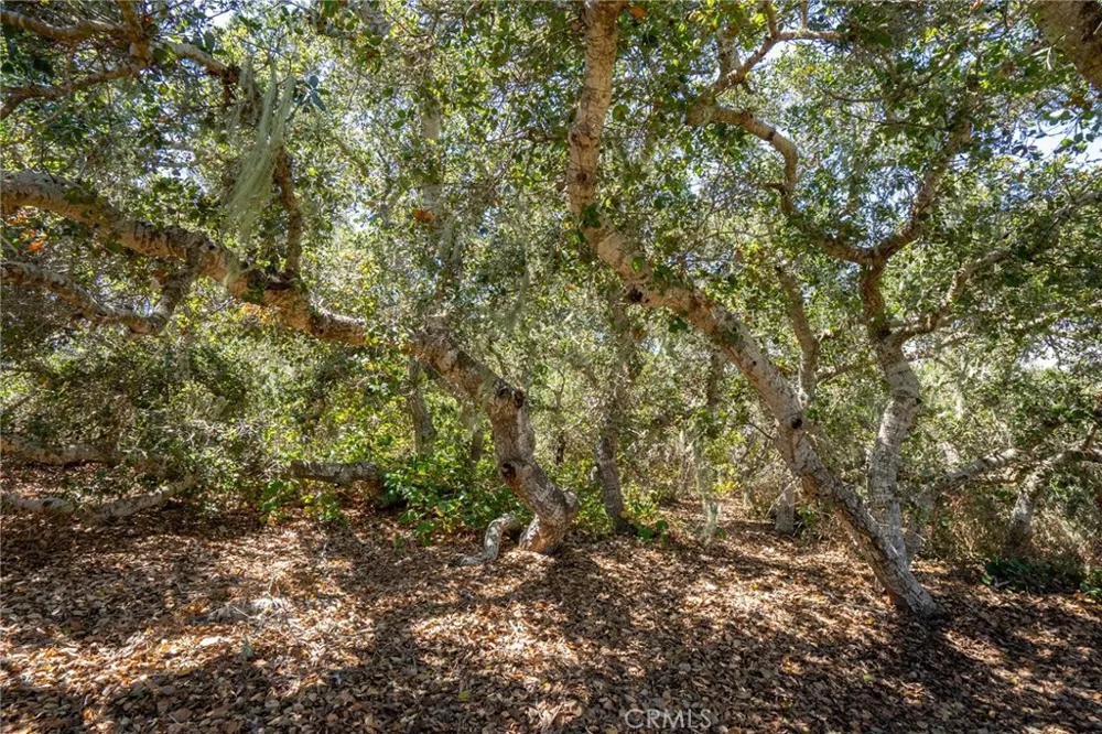 1210 Bayview Heights Drive Los Osos, CA 93402