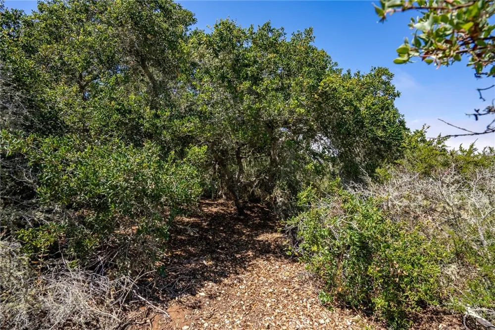 1210 Bayview Heights Drive Los Osos, CA 93402