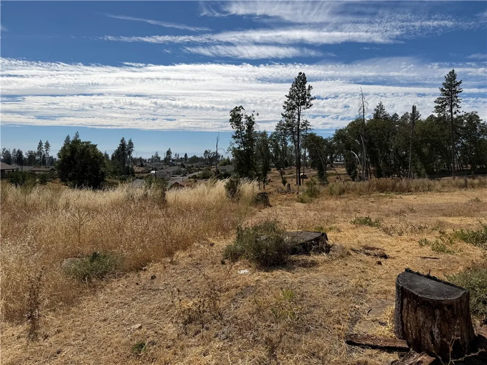 7809 Skyway Paradise, CA 95969