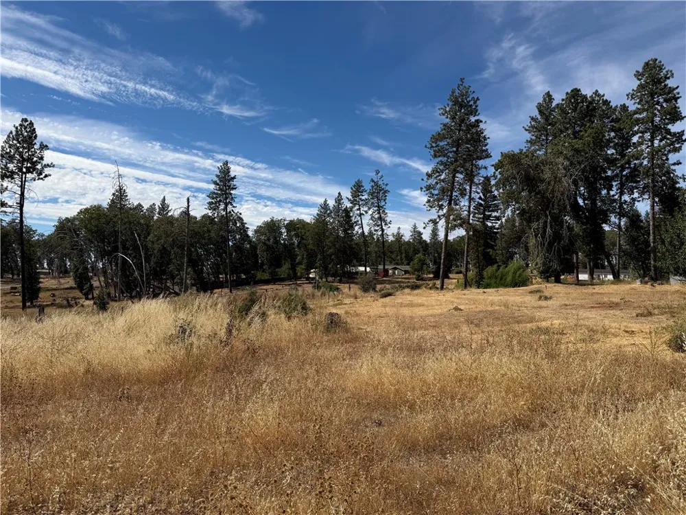 7809 Skyway Paradise, CA 95969