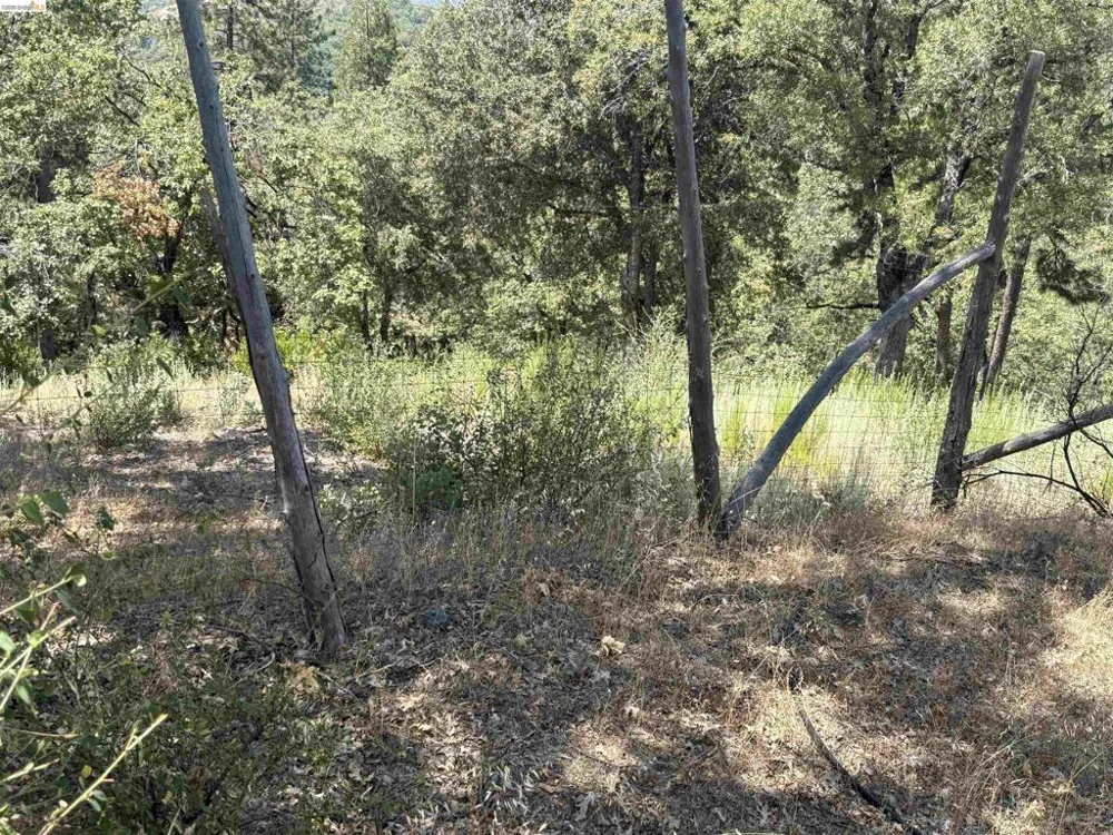 1440 Utica Powerhouse Rd Murphys, CA 95247