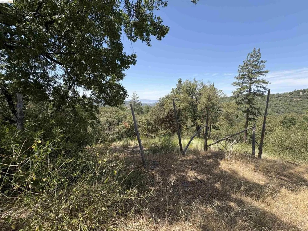 1440 Utica Powerhouse Rd Murphys, CA 95247