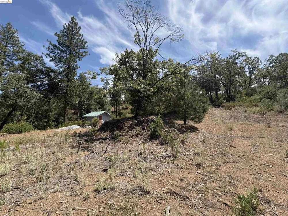 1440 Utica Powerhouse Rd Murphys, CA 95247