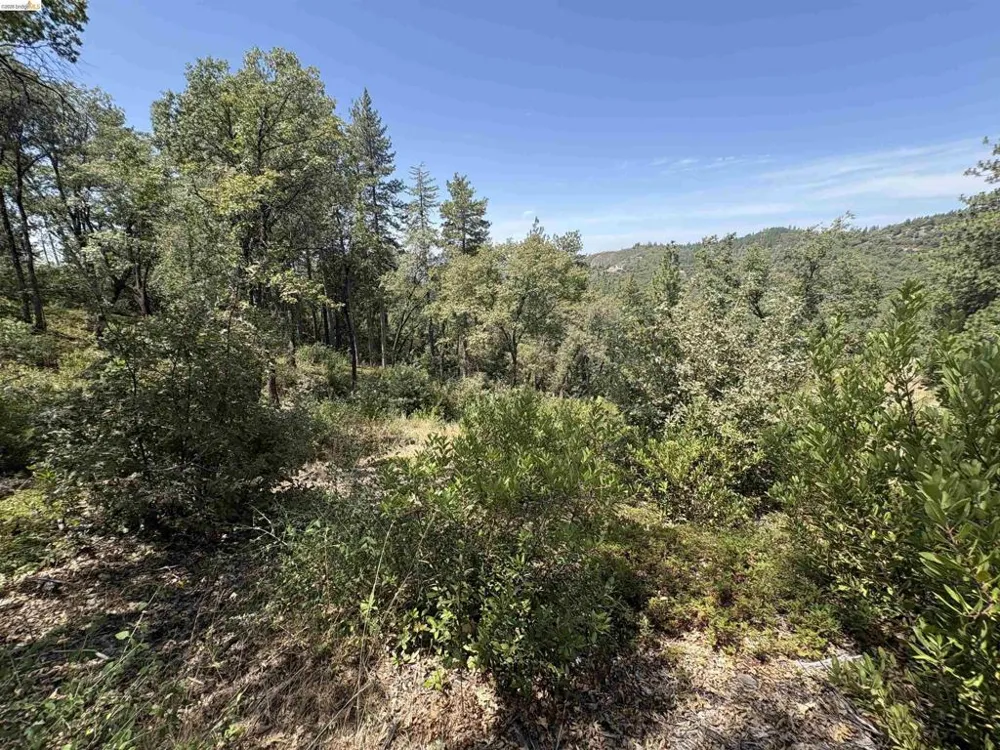 1440 Utica Powerhouse Rd Murphys, CA 95247