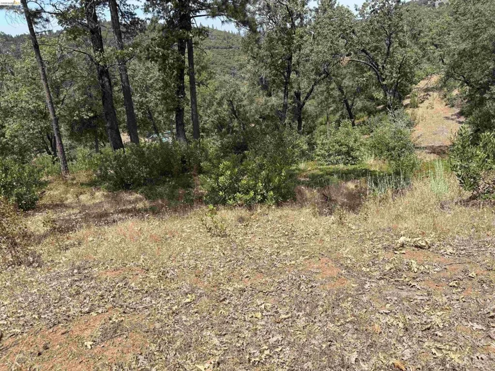 1440 Utica Powerhouse Rd Murphys, CA 95247