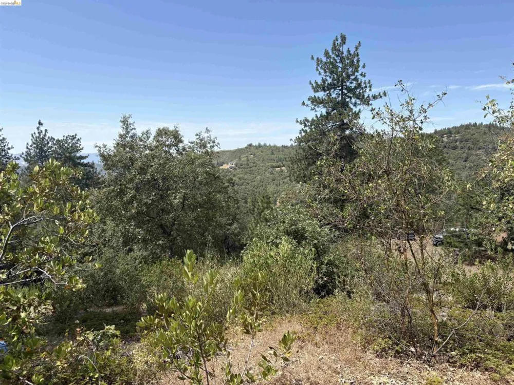 1440 Utica Powerhouse Rd Murphys, CA 95247
