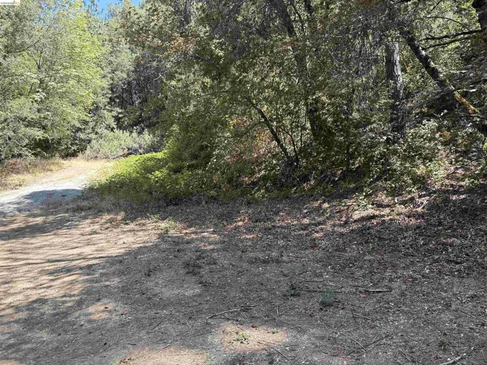 1440 Utica Powerhouse Rd Murphys, CA 95247