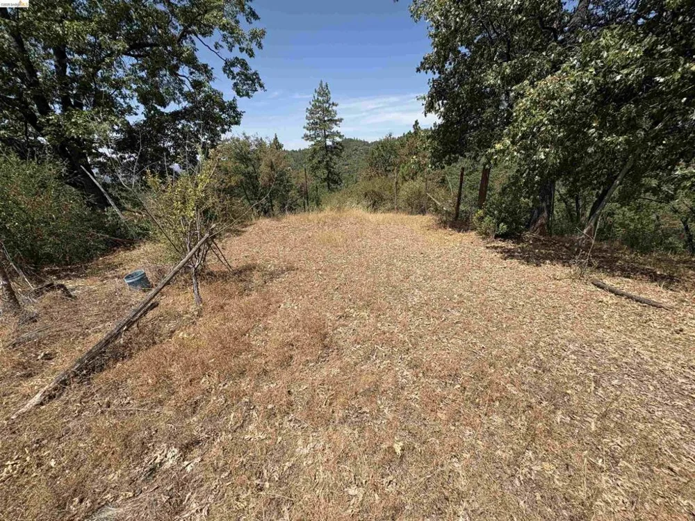 1440 Utica Powerhouse Rd Murphys, CA 95247