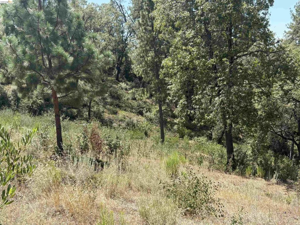 1440 Utica Powerhouse Rd Murphys, CA 95247