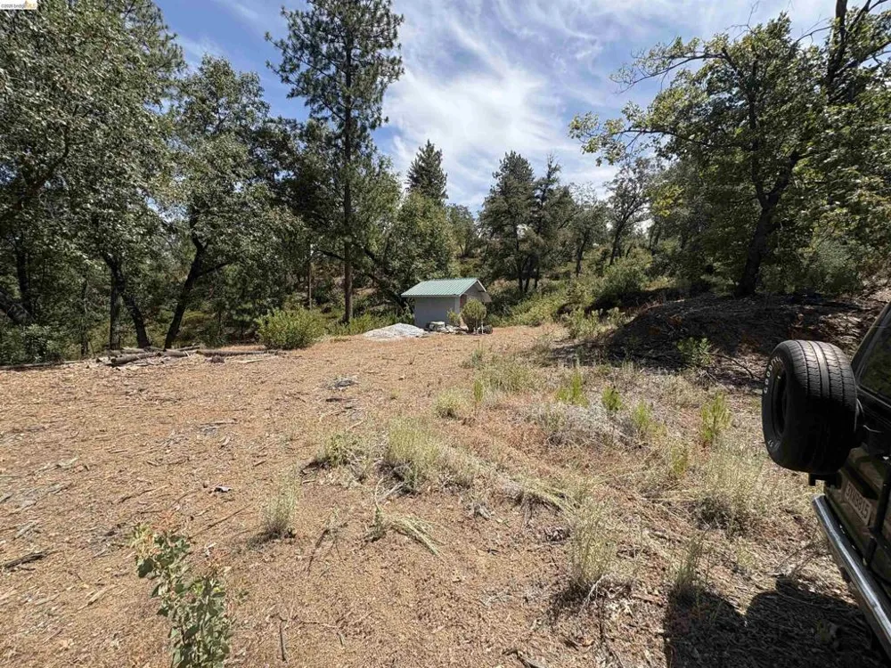 1440 Utica Powerhouse Rd Murphys, CA 95247